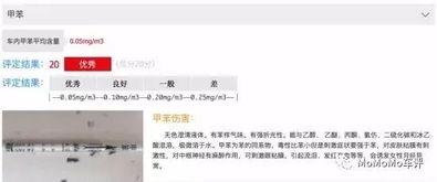 新闻爆料开头画面怎么写,画面背后真相揭晓